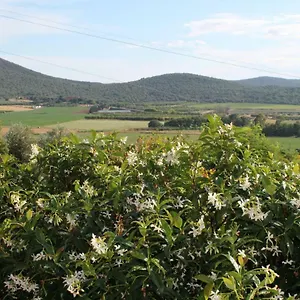 Appartamento Podere Montenero Alberese